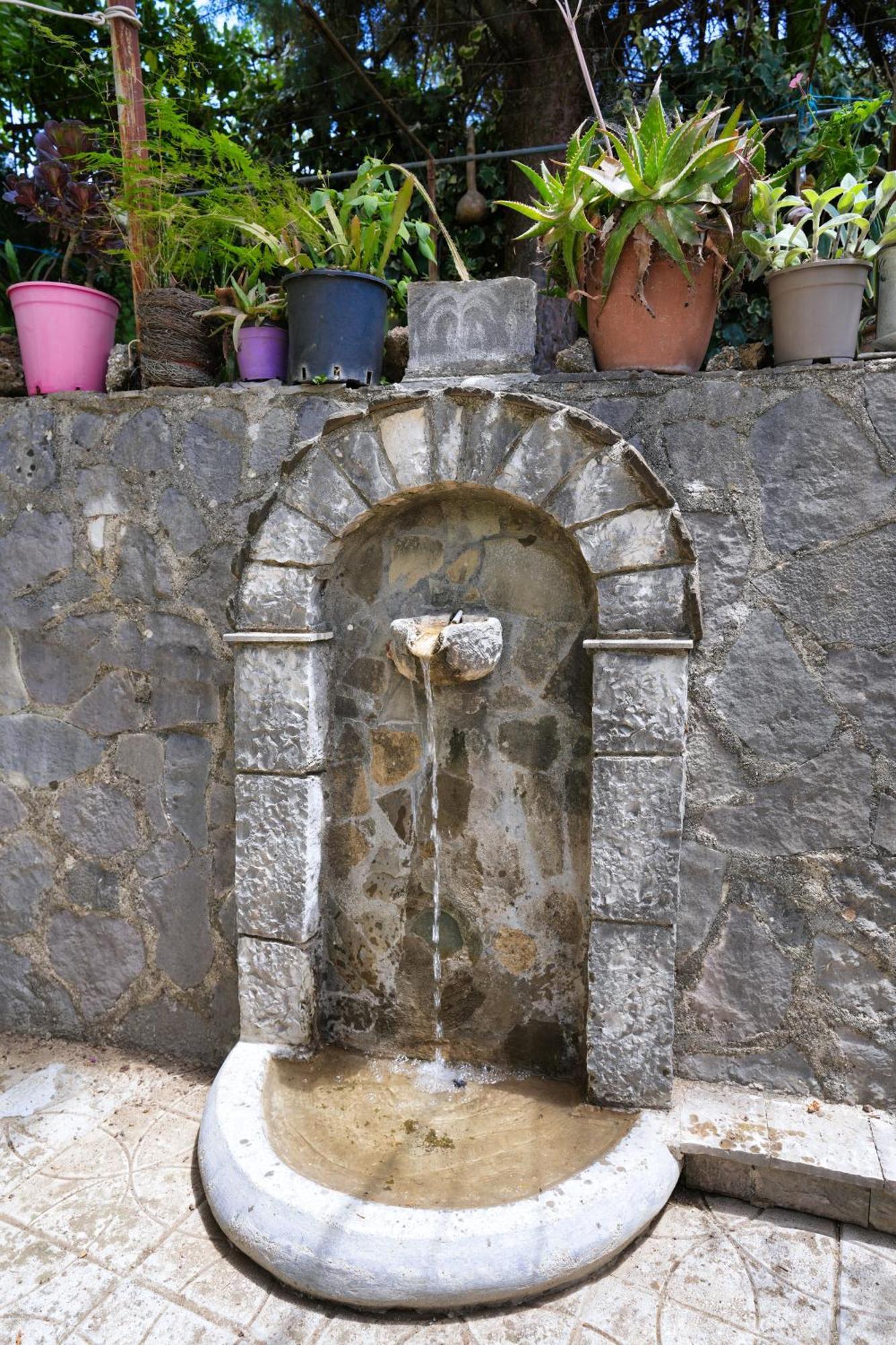 Vila Banushi Gjirokastër Exterior foto
