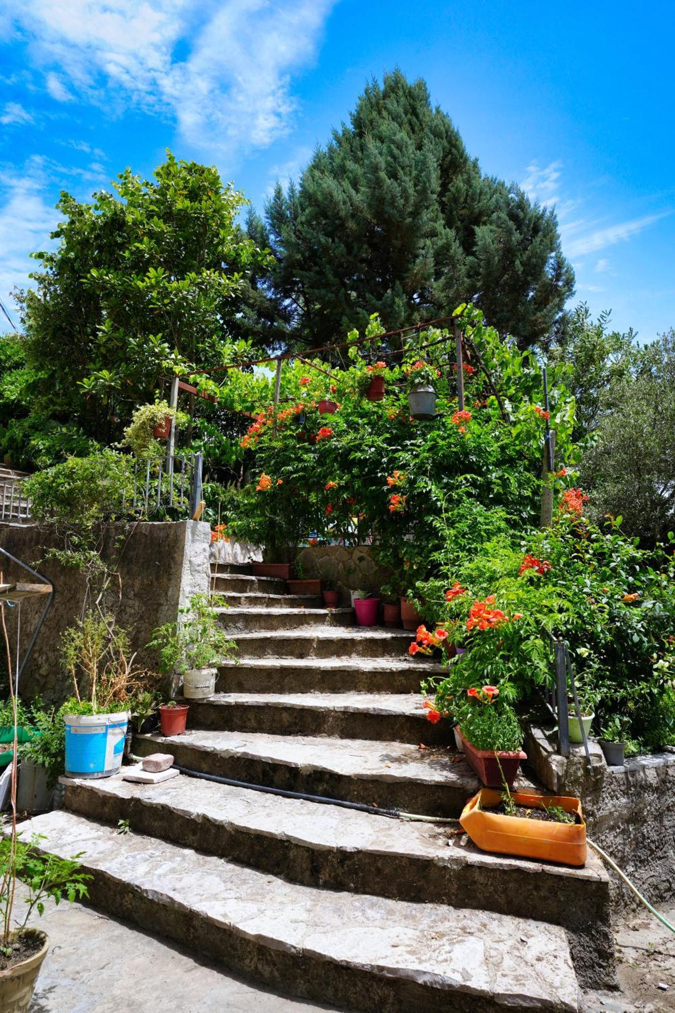 Vila Banushi Gjirokastër Exterior foto